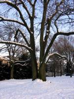 schnee090111-013.jpg