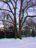 schnee090111-014-3D.JPG