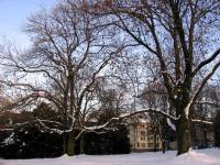 schnee090111-015.jpg