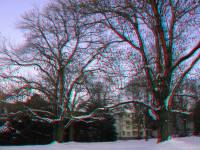 schnee090111-016-3D.JPG