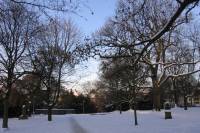 schnee090111-018.jpg