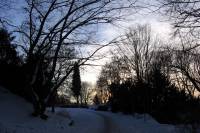 schnee090111-021.jpg