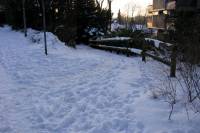 schnee090111-022.jpg