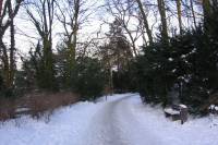 schnee090111-024.jpg