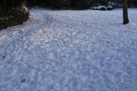 schnee090111-025.jpg