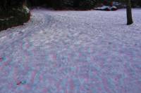 schnee090111-026-3D.JPG