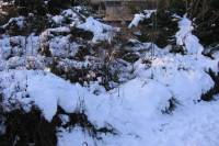 schnee090111-027.jpg