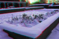 schnee090111-037-3D.JPG
