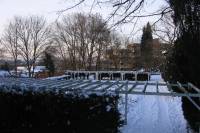 schnee090111-040.jpg