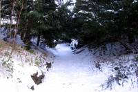 schnee090111-044.jpg