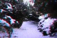 schnee090111-047-3D.JPG