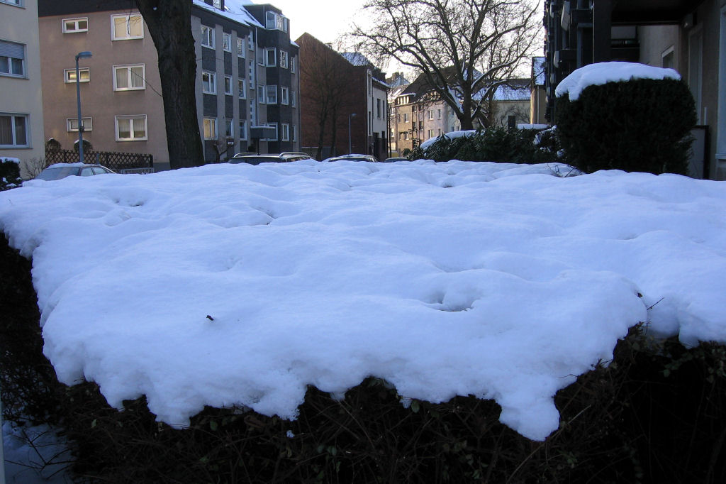 schnee090111-001.jpg