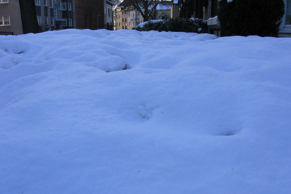 schnee090111-003.jpg