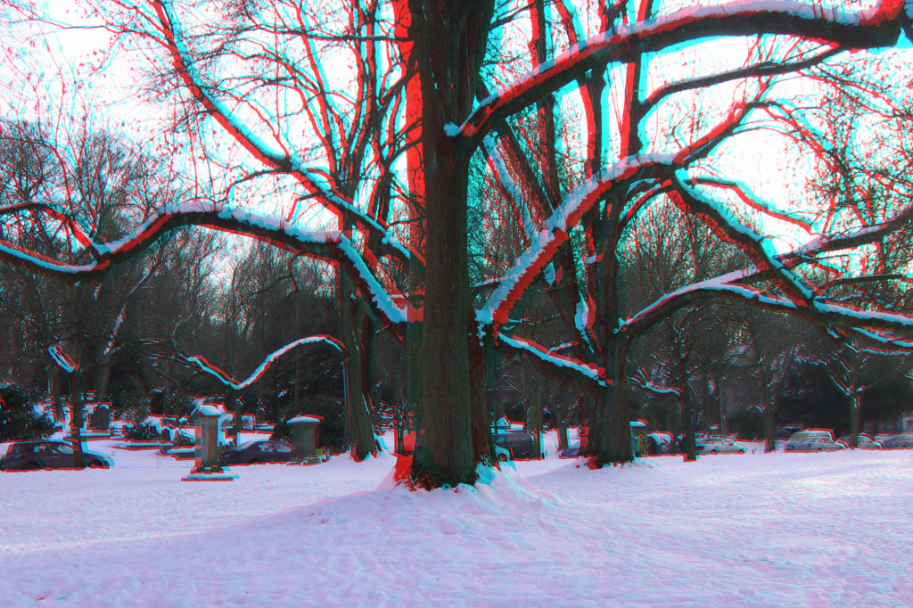 3D
