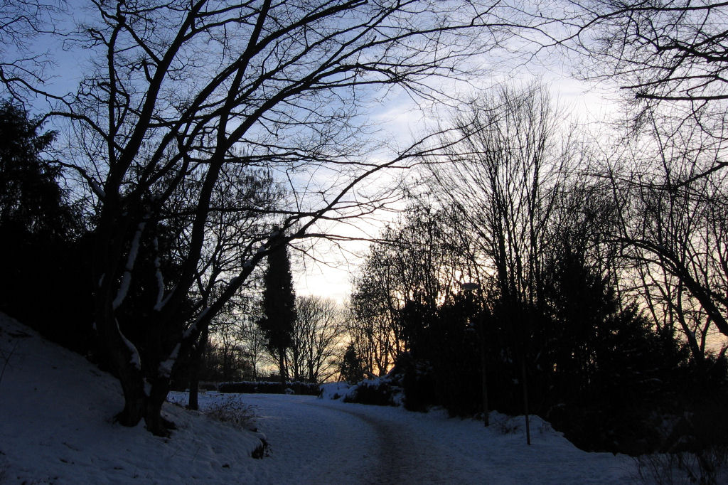 schnee090111-021.jpg
