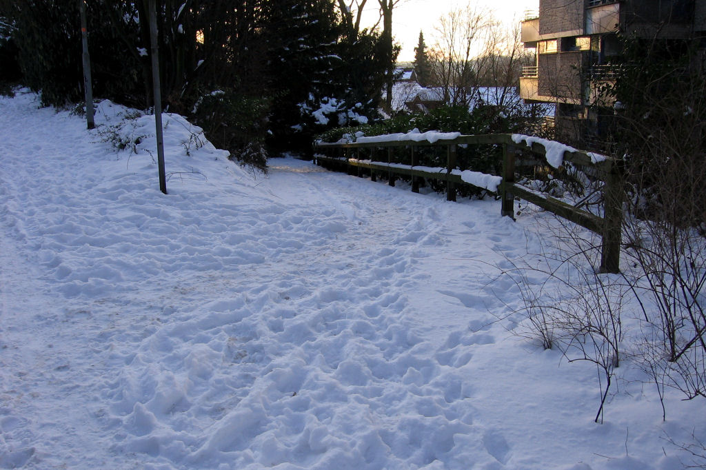 schnee090111-022.jpg