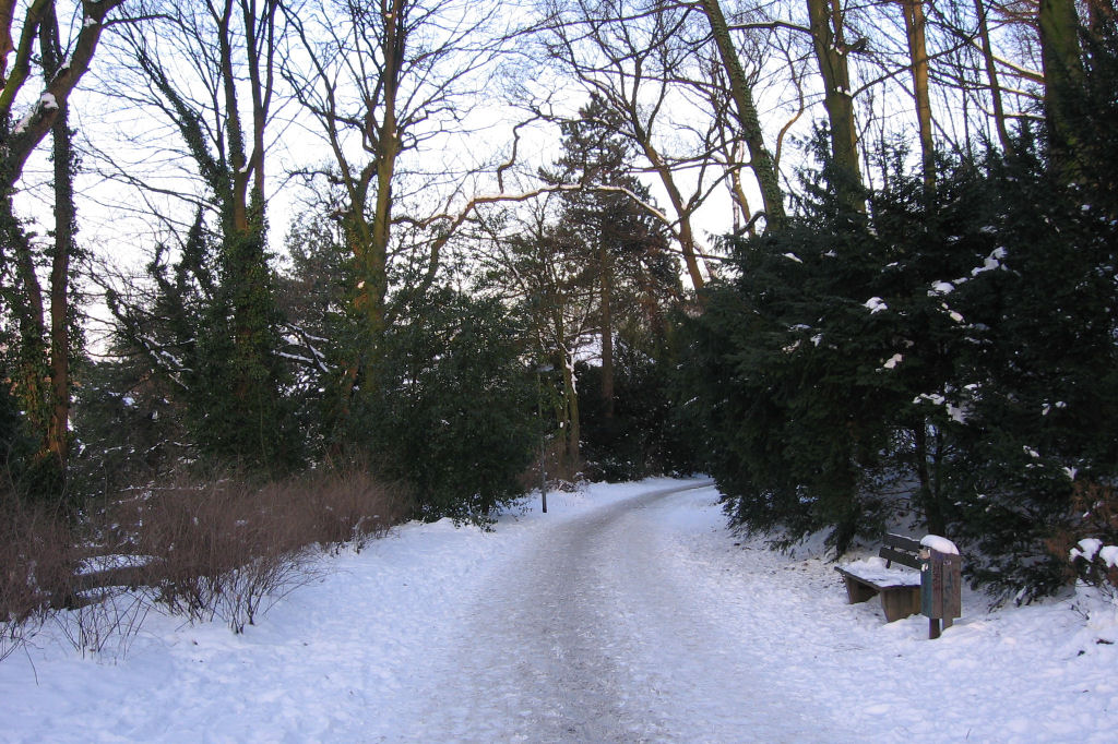 schnee090111-024.jpg