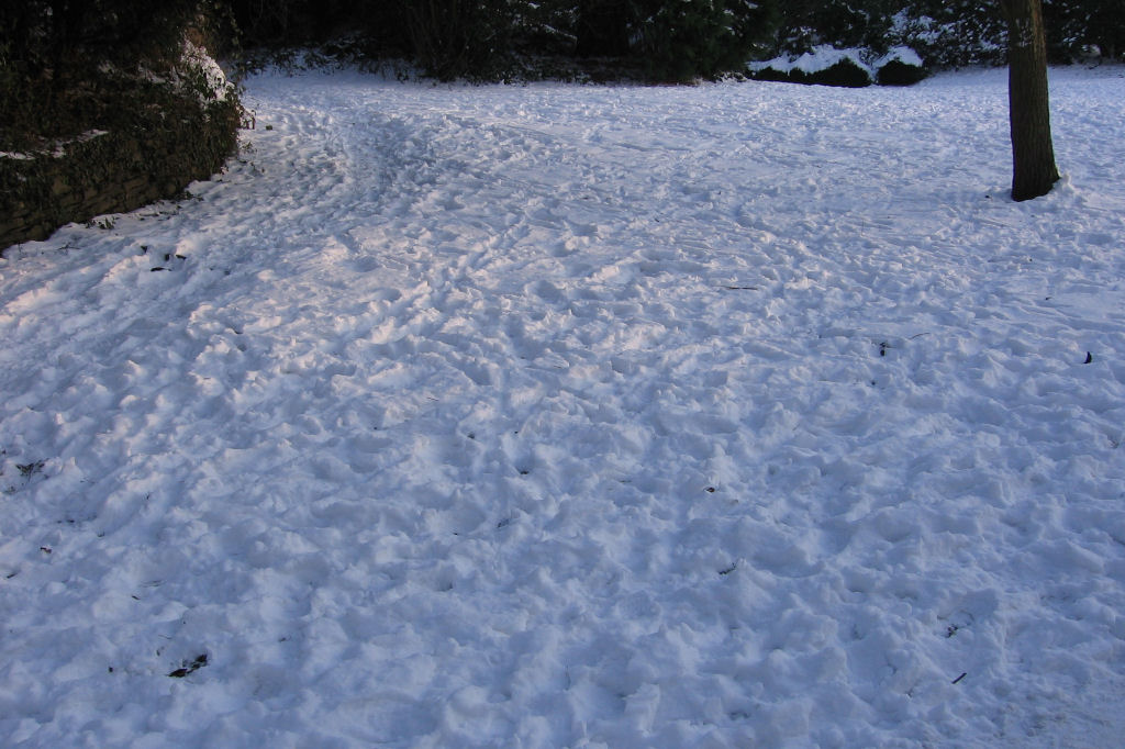 schnee090111-025.jpg