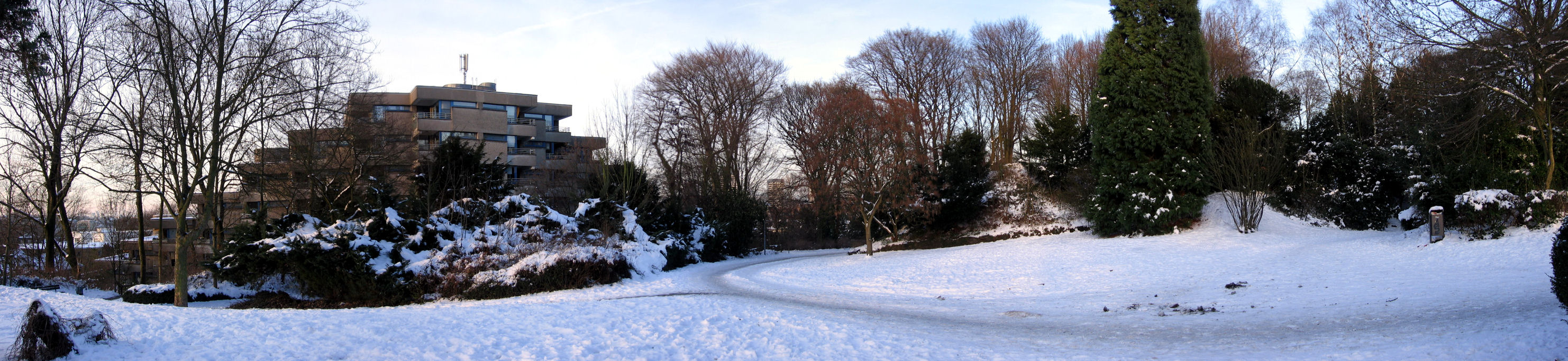 Panorama
