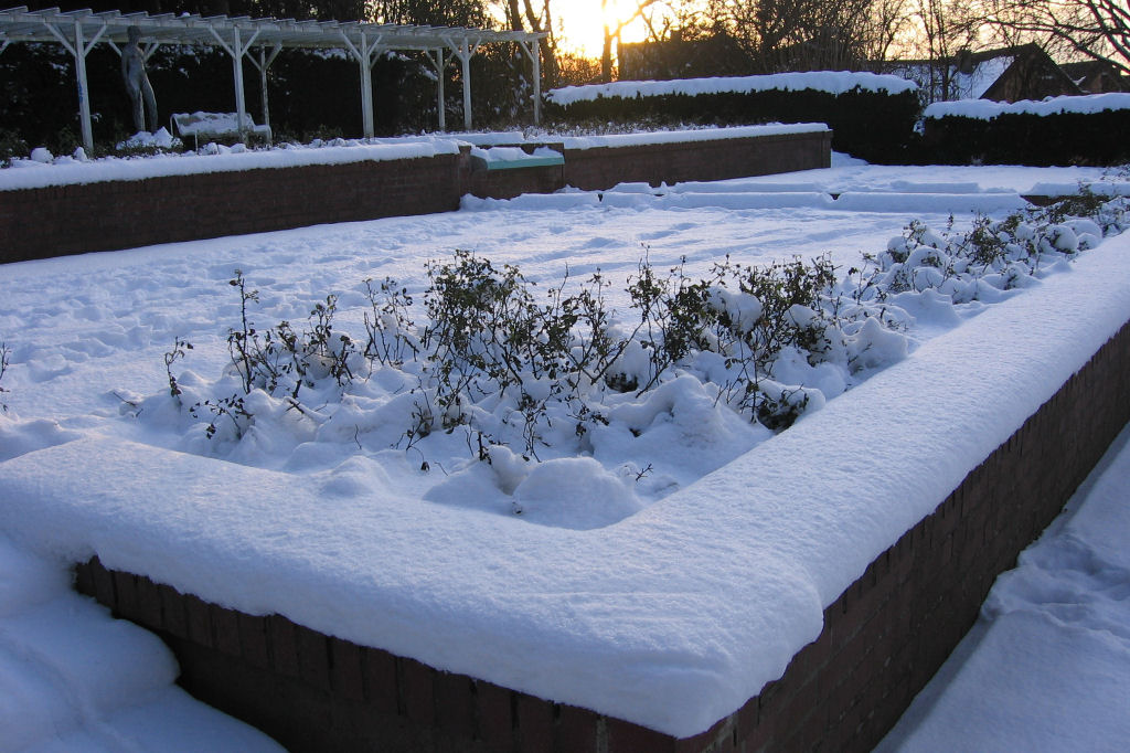 schnee090111-036.jpg
