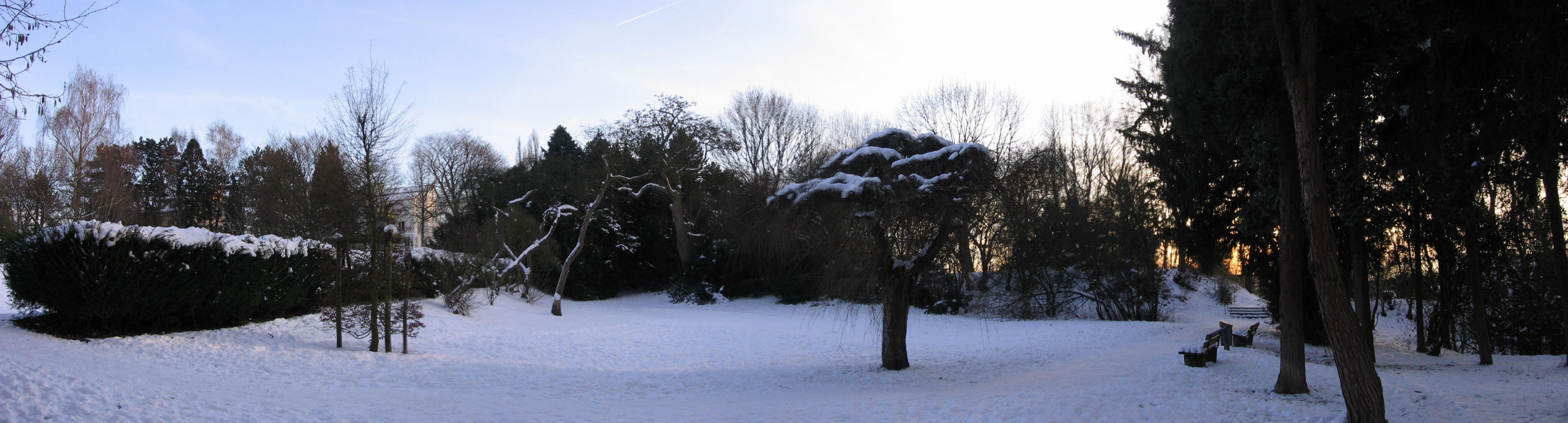 Panorama
