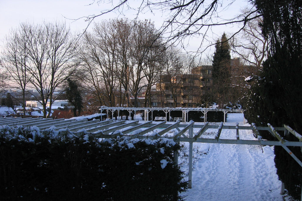 schnee090111-040.jpg