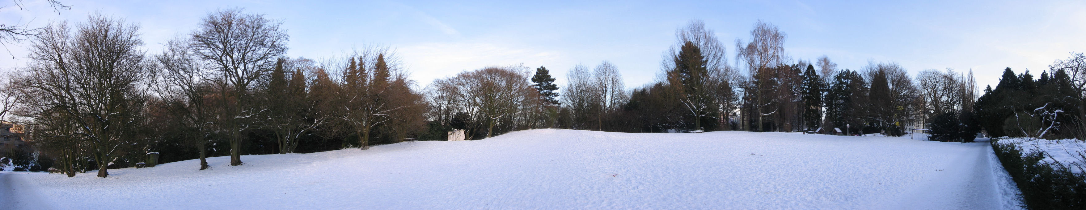 Panorama
