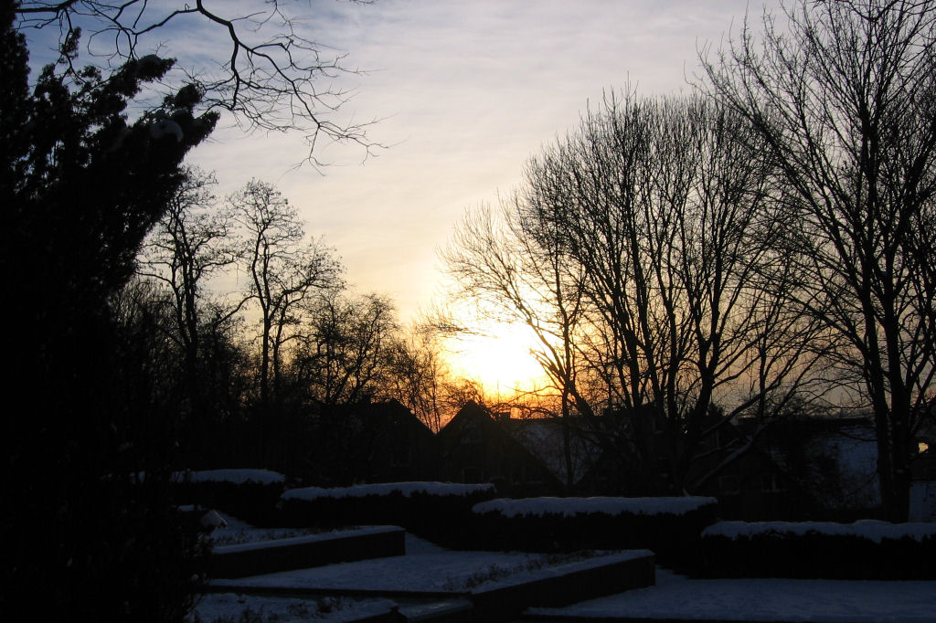 schnee090111-043.jpg