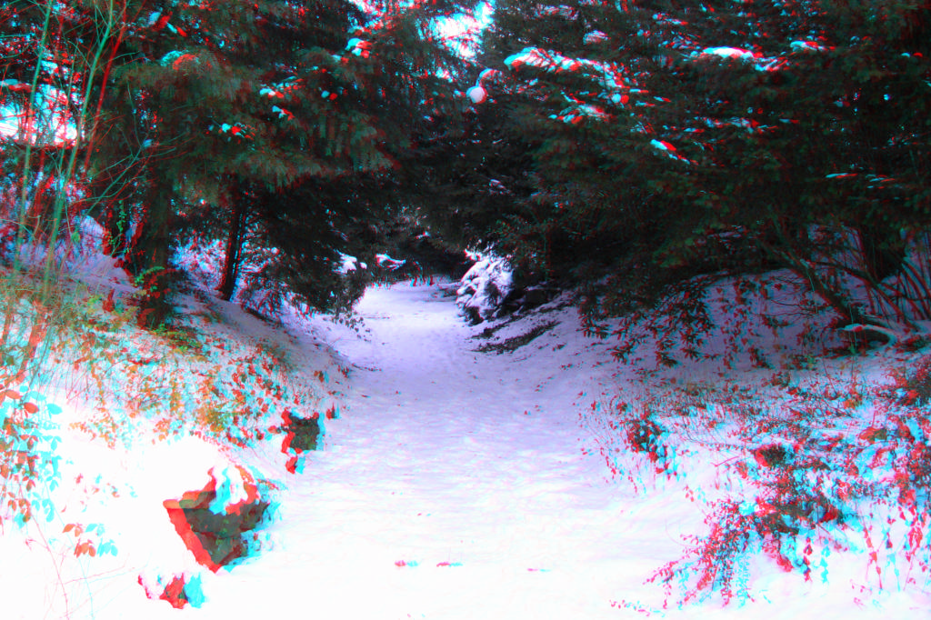 3D
