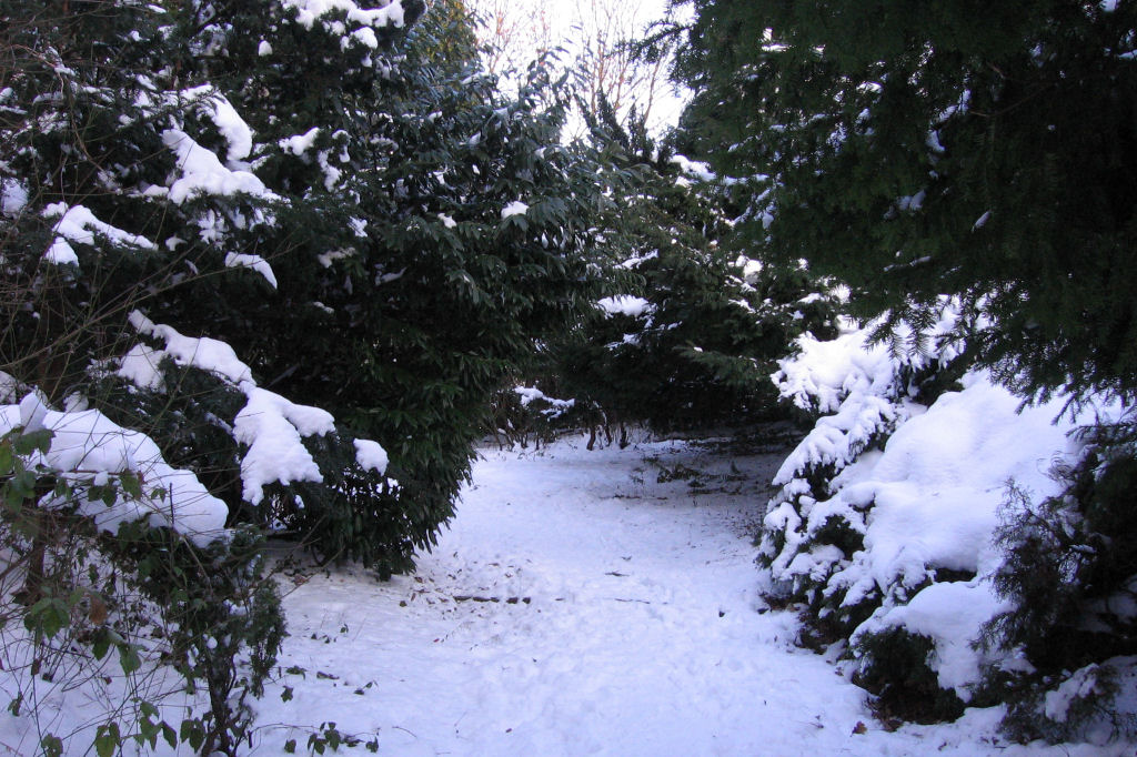 schnee090111-046.jpg