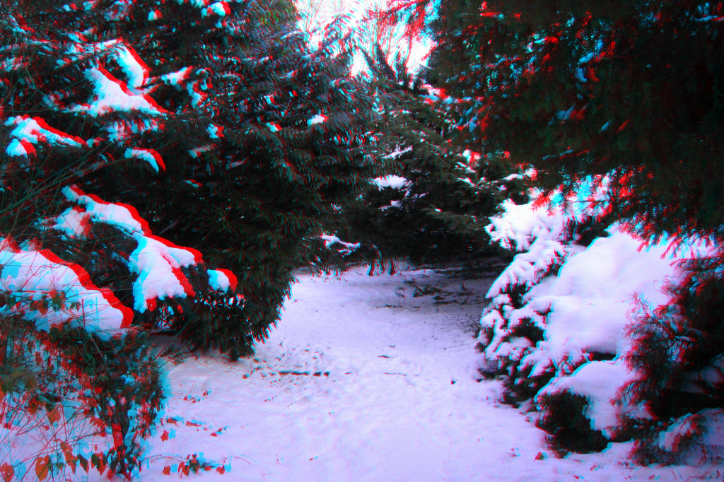 3D
