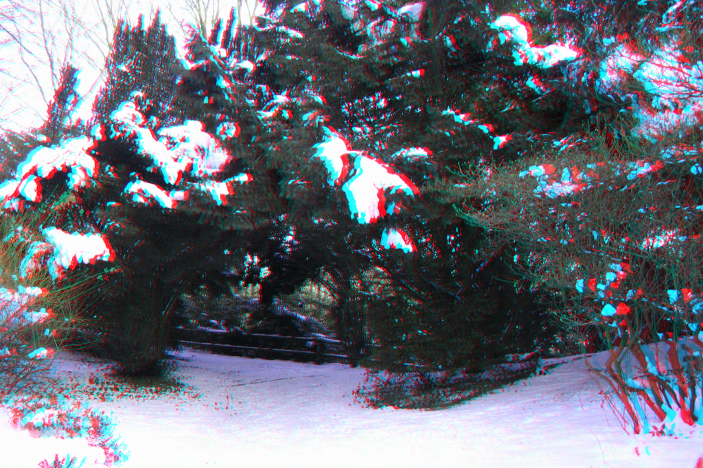 3D
