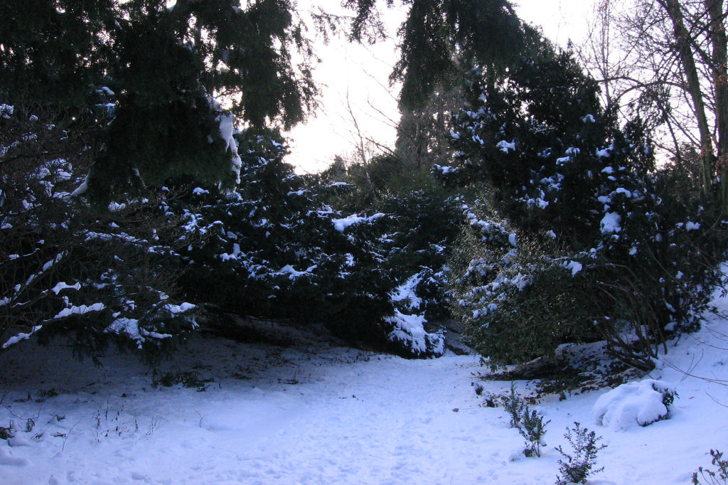 schnee090111-063.jpg