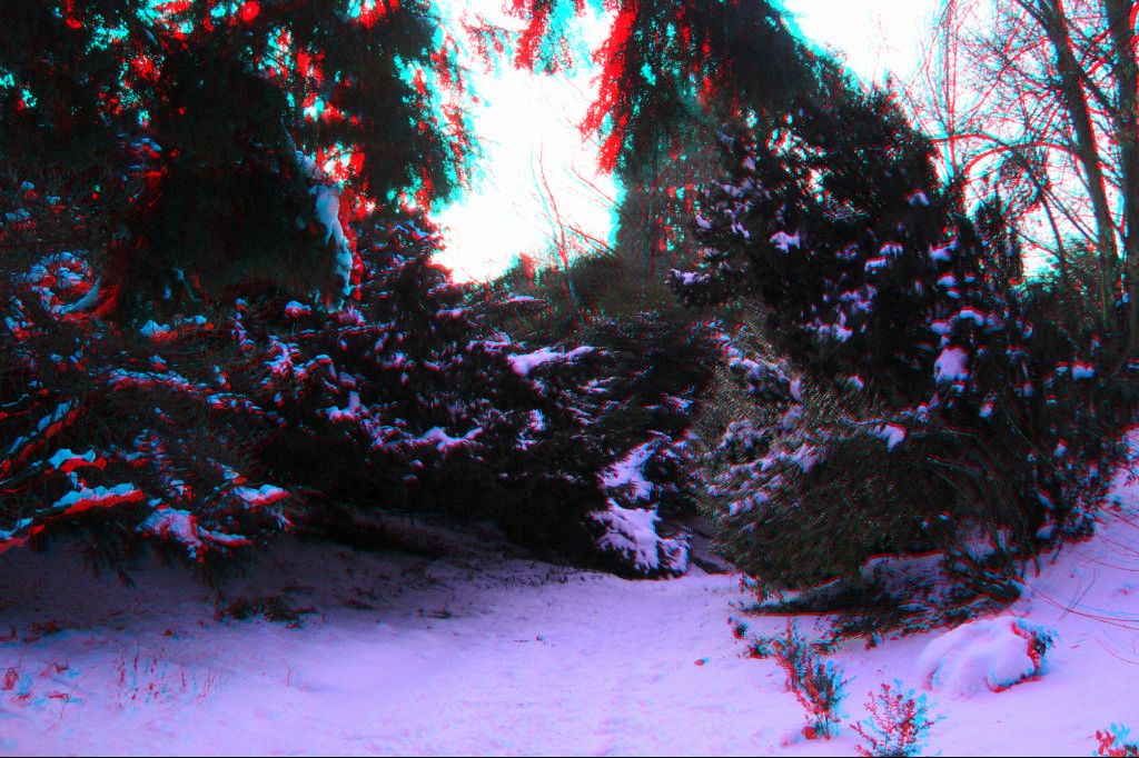 3D

