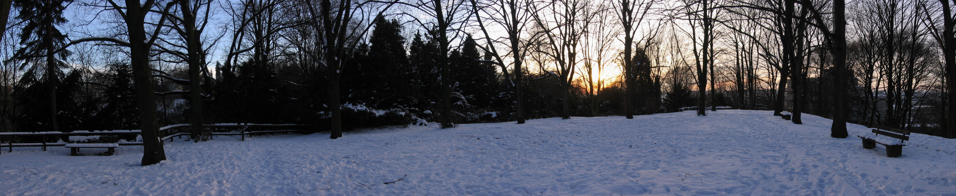Panorama
