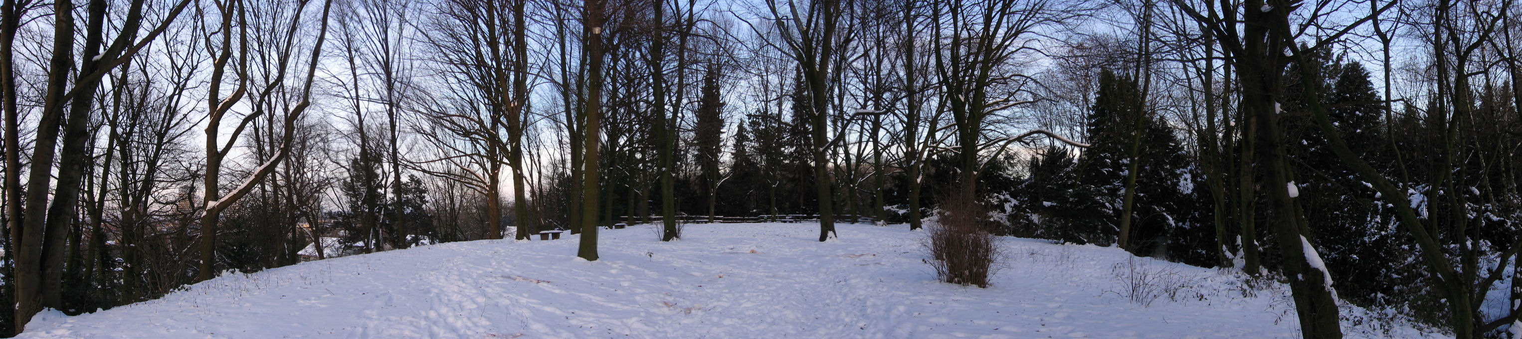 Panorama
