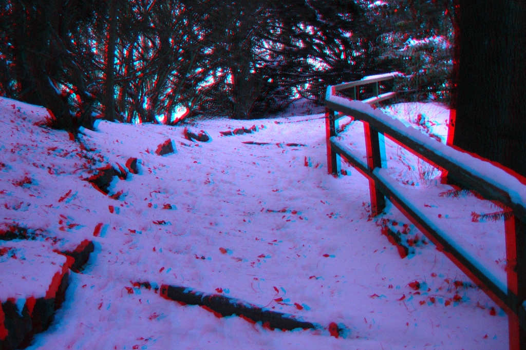 3D
