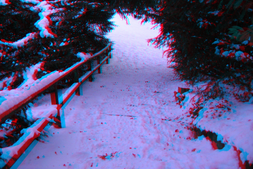 3D

