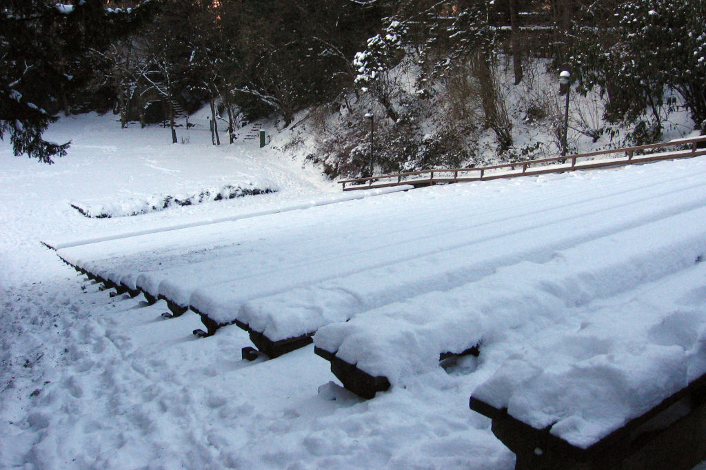 schnee090111-104.jpg
