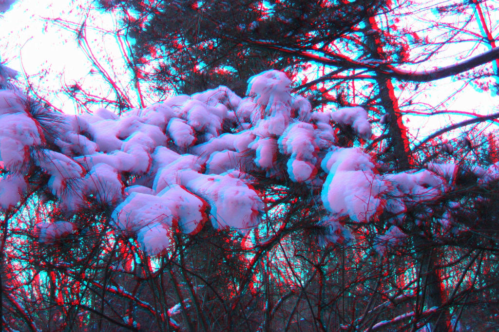 3D
