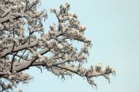 schnee100103-003.jpg