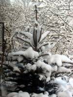 schnee100103-007.jpg