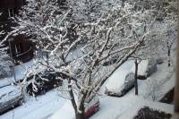 schnee100103-010.jpg