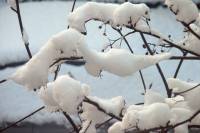 schnee100103-011.jpg