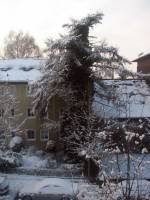 schnee100103-012.jpg