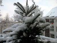 schnee100103-014.jpg