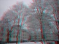 schnee100103-038-3D.jpg