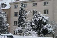 schnee100103-039.jpg