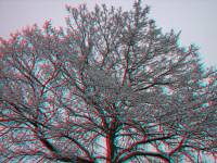 schnee100103-044-3D.jpg
