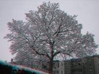 schnee100103-046-3D.jpg